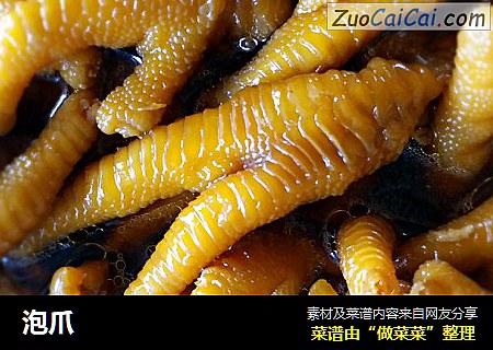泡爪