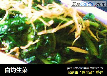 白灼生菜