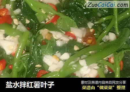 盐水拌红薯叶子