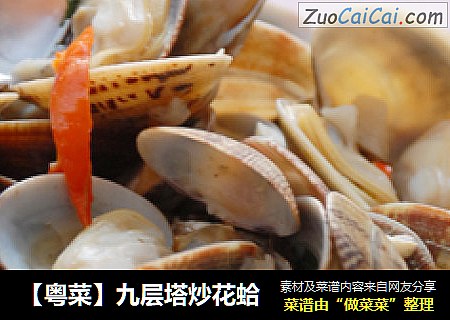 【粤菜】九层塔炒花蛤