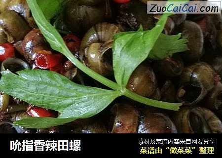 吮指香辣田螺
