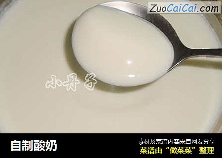 自制酸奶