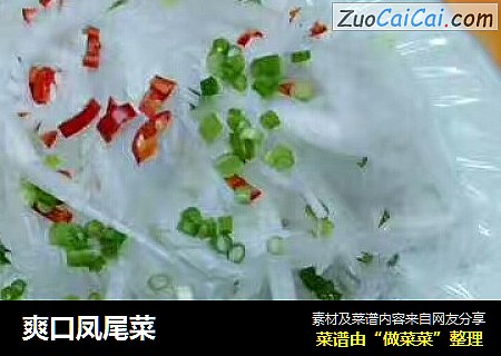爽口凤尾菜