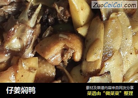 仔姜焖鸭