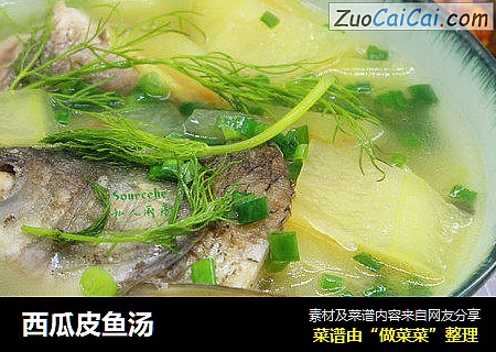 西瓜皮鱼汤