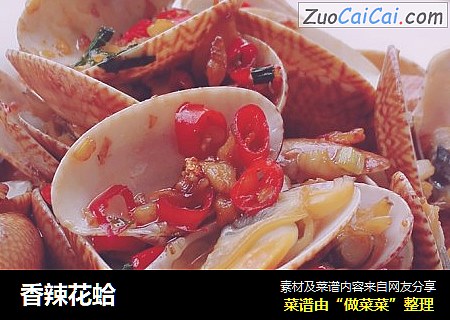 香辣花蛤