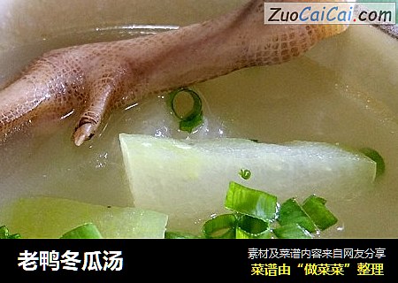 老鸭冬瓜汤
