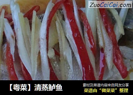 【粤菜】清蒸鲈鱼