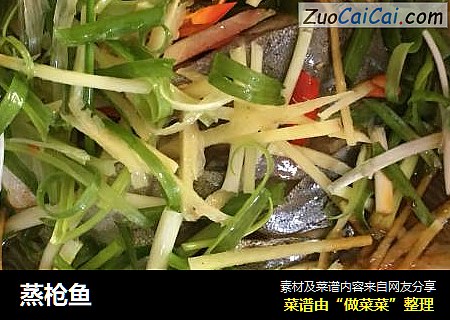 蒸枪鱼