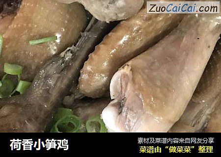 荷香小笋鸡