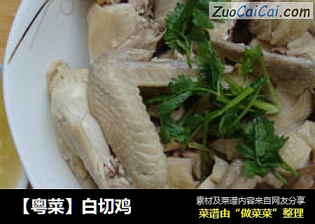 【粤菜】白切鸡