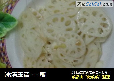 冰清玉洁----藕