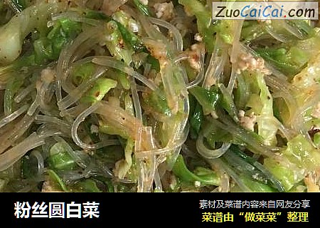 粉丝圆白菜