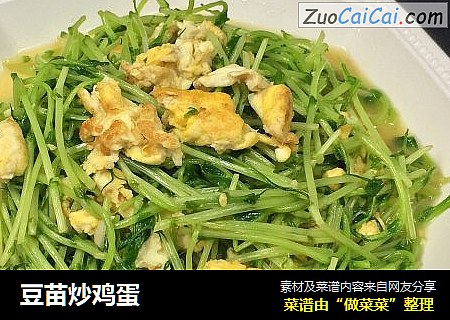 豆苗炒鸡蛋