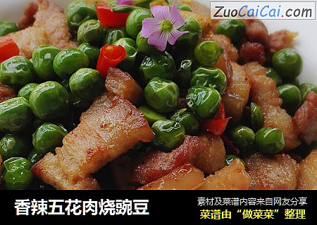 香辣五花肉烧豌豆