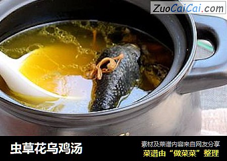 虫草花乌鸡汤