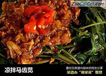 凉拌马齿苋