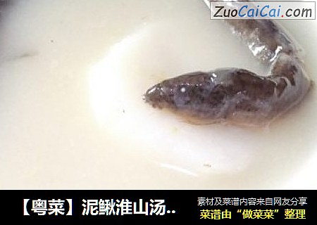 【粤菜】泥鳅淮山汤 健脾补虚敛汗