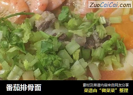 番茄排骨面