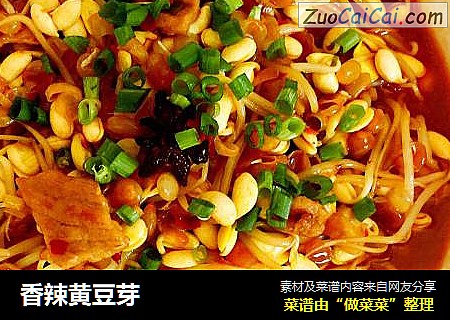 香辣黄豆芽