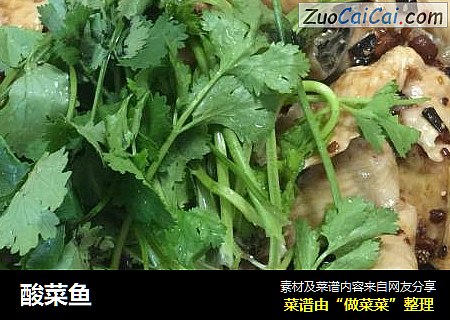 酸菜鱼