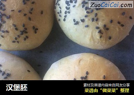 汉堡胚