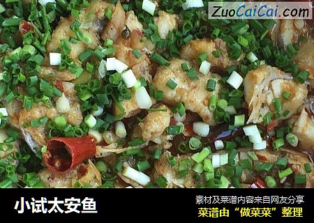 小试太安鱼