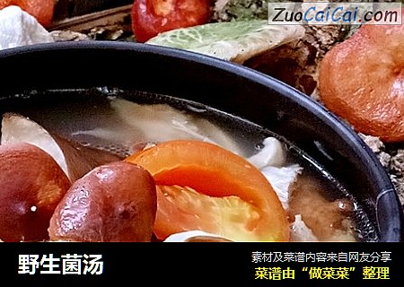 野生菌汤