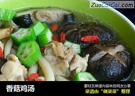 香菇鸡汤