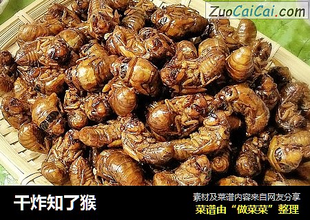 干炸知了猴
