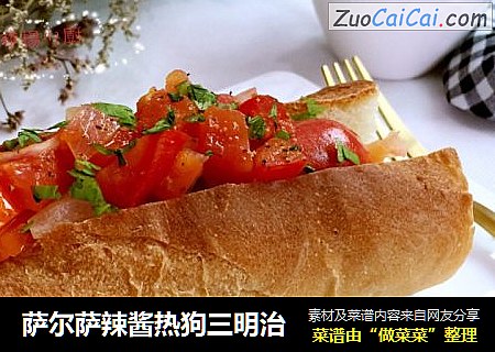 萨尔萨辣酱热狗三明治