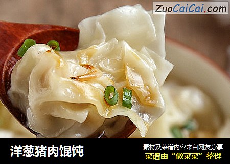 洋葱猪肉馄饨