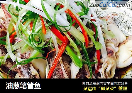 油葱笔管鱼