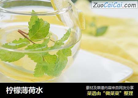 柠檬薄荷水