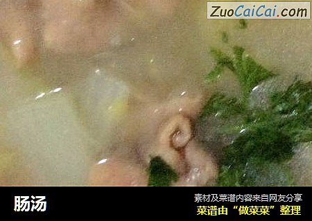 肠汤