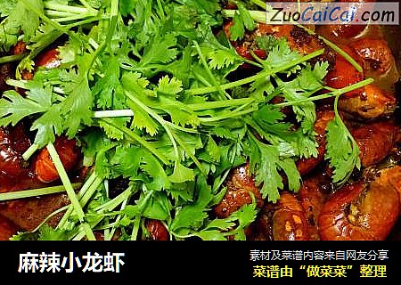 麻辣小龙虾