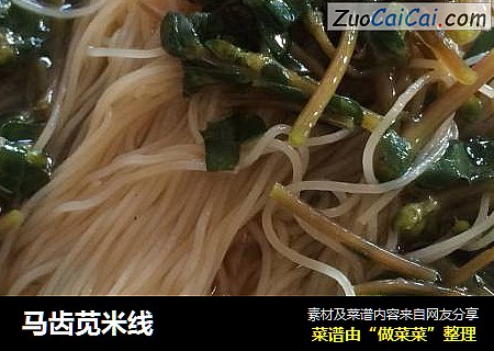 马齿苋米线