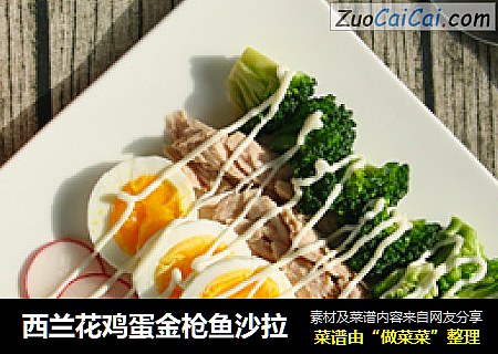 西兰花鸡蛋金枪鱼沙拉