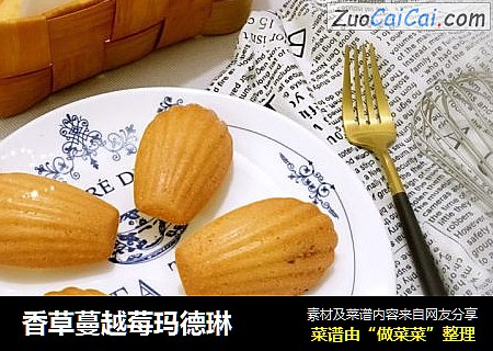香草蔓越莓玛德琳