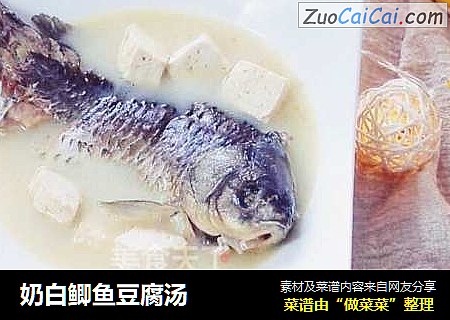 奶白鲫鱼豆腐汤