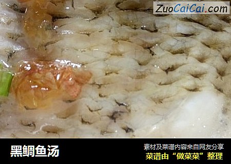 黑鲷鱼汤