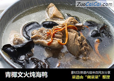 青椰文火炖海鸭