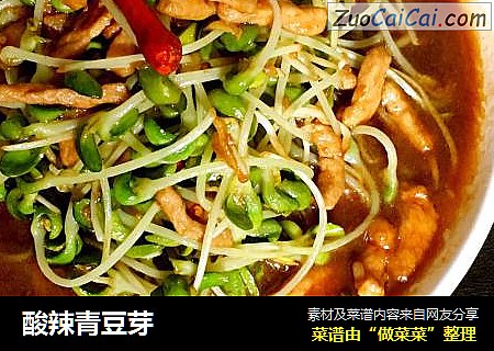 酸辣青豆芽