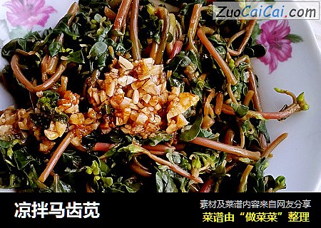 凉拌马齿苋