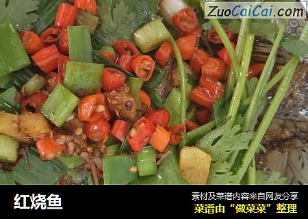 红烧鱼