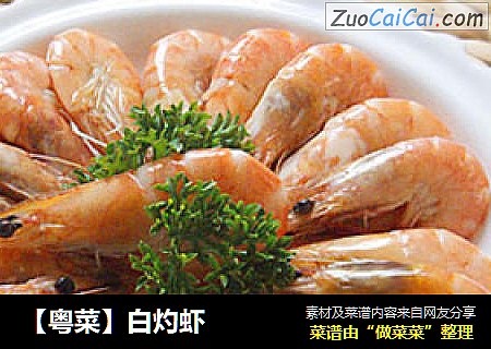【粤菜】白灼虾