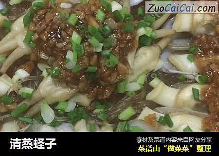 清蒸蛏子