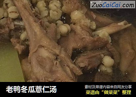 老鸭冬瓜薏仁汤