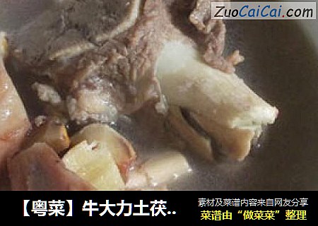 【粤菜】牛大力土茯苓猪骨汤
