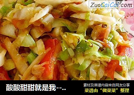 酸酸甜甜就是我--【包菜炒西红柿】